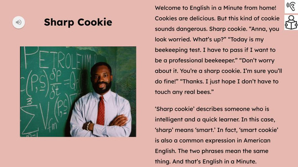 Sharp Cookie Figurative Language Reading Passage and Activities