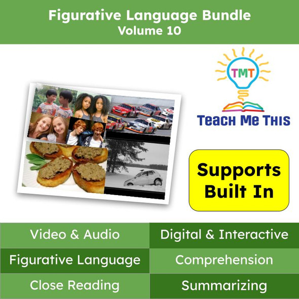 Figurative Language Reading Passages and Activities BUNDLE Volume 10