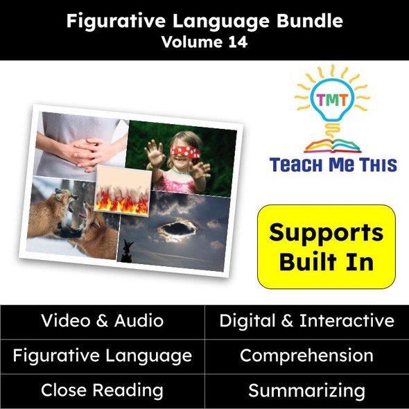 Figurative Language Reading Passages and Activities BUNDLE Volume 14