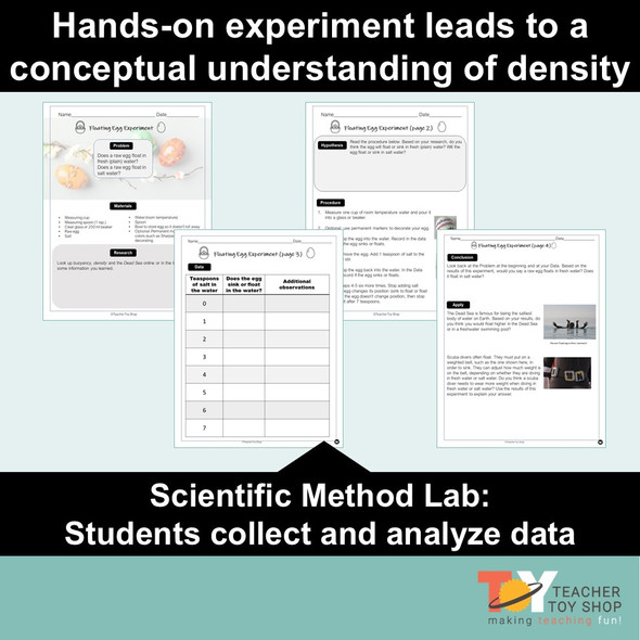 Spring Buoyancy and Density Egg Lab | Google Slides™ + print