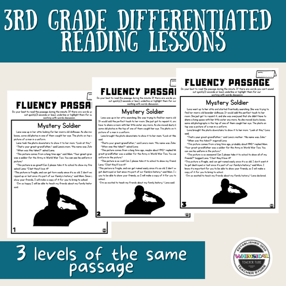 3rd Grade Differentiated Reading & Writing Lessons & Activities Family Tradition