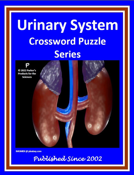 Urinary System Crossword Puzzle Series