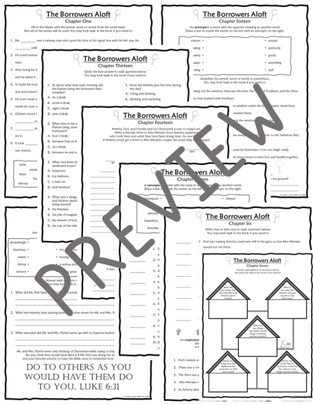 The Borrowers Aloft Novel Study