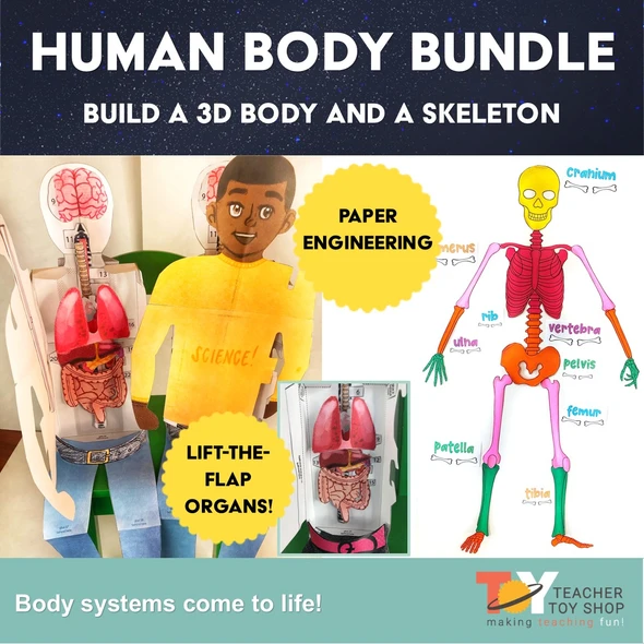 Human Body Systems Projects Bundle | STEM Activities