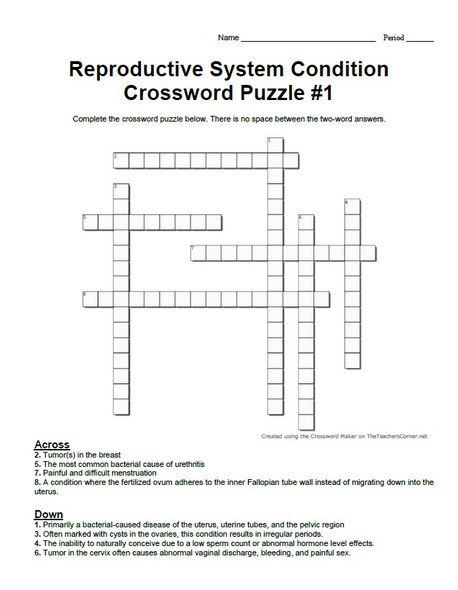 Reproductive System Condition Crossword Puzzle Set