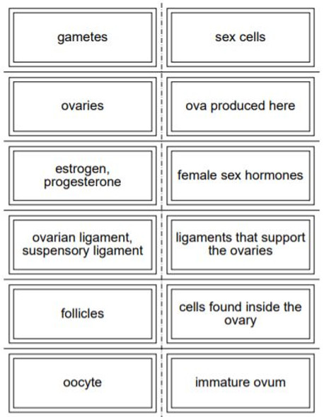 Female Reproductive System Flash Cards