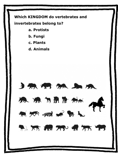 VERTEBRATES UNIT: QUIZ WITH ANSWERS