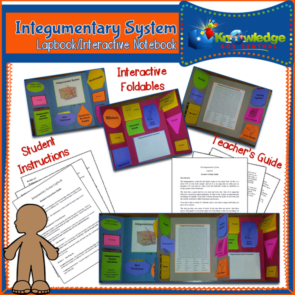 Integumentary System Lapbook 
