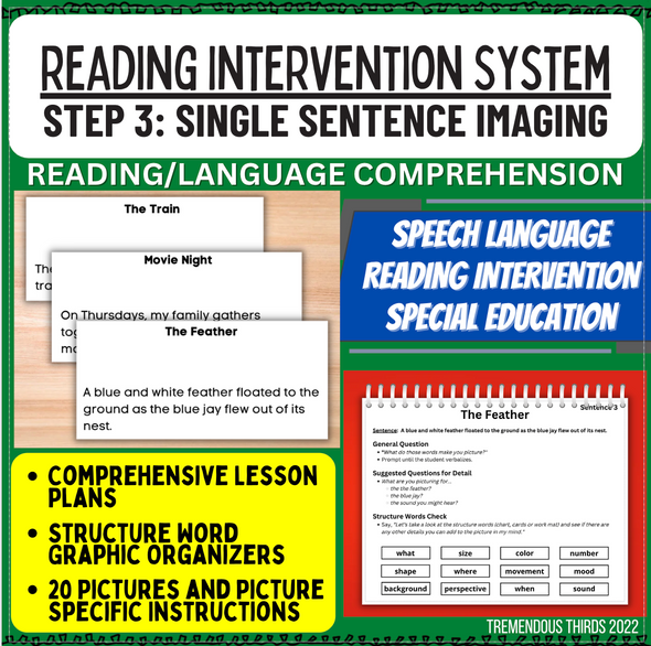 STEP 3: Visualizing from Single Sentence Imagery for Reading, Speech, & Language