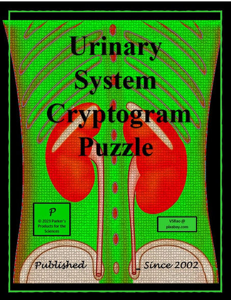 Urinary System Cryptogram Puzzle