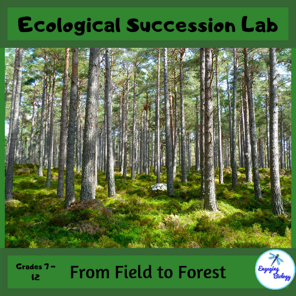 Ecological Succession Lab