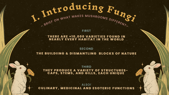 All about Mushrooms, Fungi & Foraging PPT Download - Environmental Studies