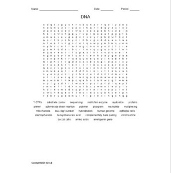 Forensics Vocabulary Word Search Bundle