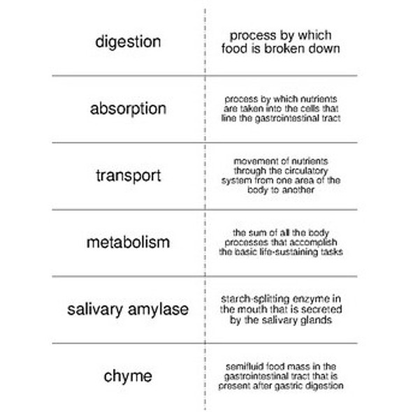 Nutrition and Health Science Vocabulary Flash Cards