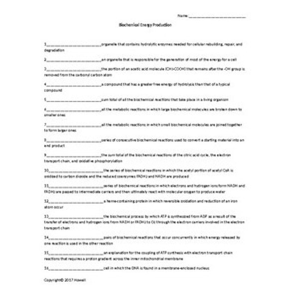 Biochemistry Vocabulary Handouts Bundle Biochemistry Vocabulary Handouts Bundle