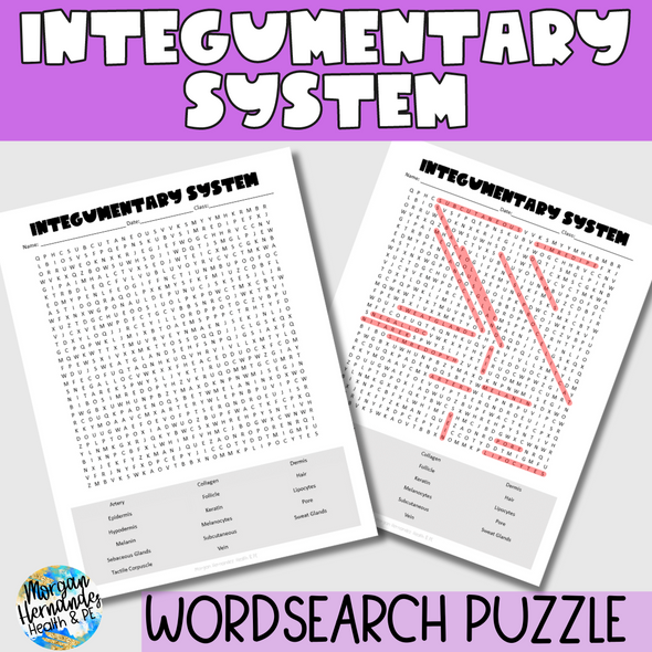 Integumentary System Word Search 