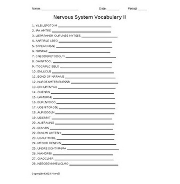Nervous System II Word Scramble for a Medical Terminology Course