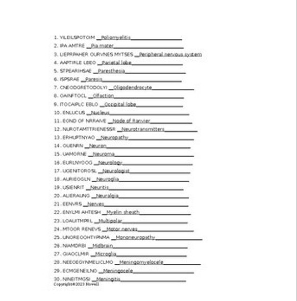 Nervous System II Word Scramble for a Medical Terminology Course