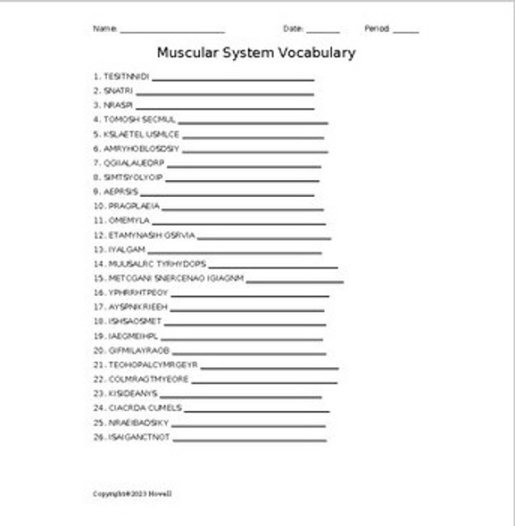 Muscular System Word Scramble for a Medical Terminology Course