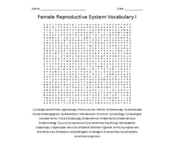 Female Reproductive System I Word Search for a Medical Terminology Course