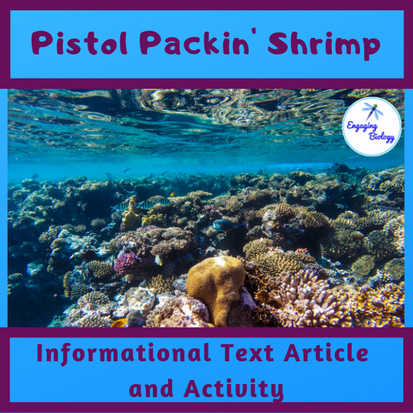 Pistol Packin' Shrimp Information Text and Activity