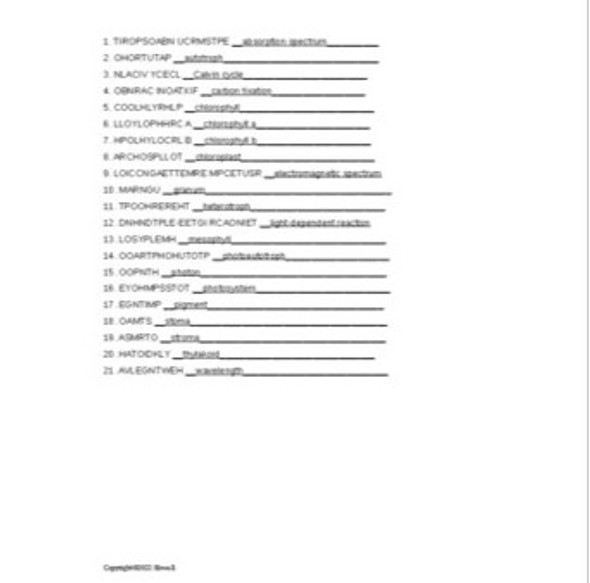 Photosynthesis Word Scramble for an Introduction to Biology Course