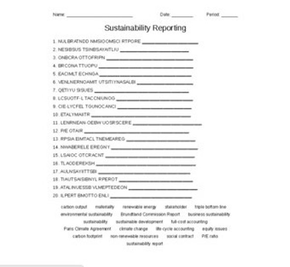 Sustainability Reporting in Accounting Vocabulary Word Scramble