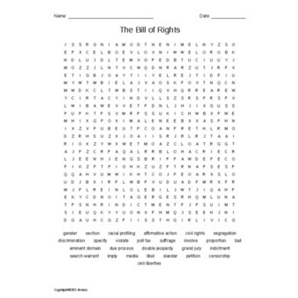 The Bill of Rights Vocabulary Word Search for a Civics Course