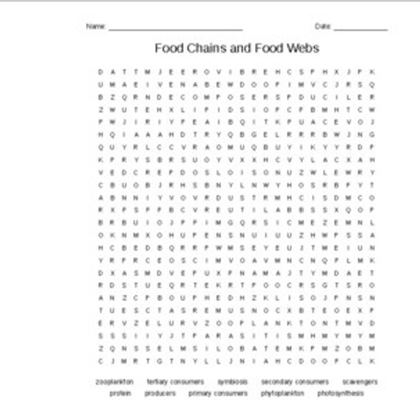 Marine Food Chains and Food Webs Word Search for Aquatic or Marine Science