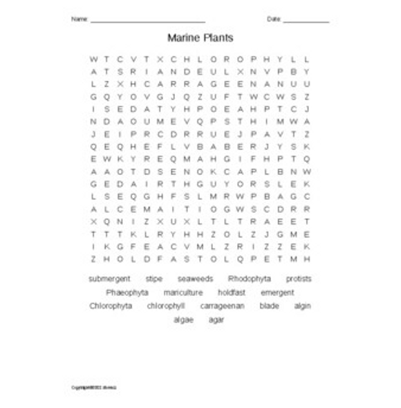 Marine Plants Word Search for Aquatic or Marine Science