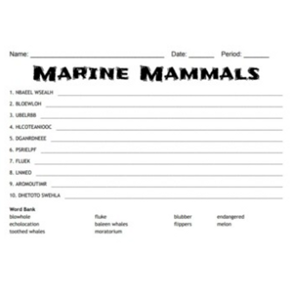 Marine Mammals Vocab. Word Scramble for Aquatic or Marine Science