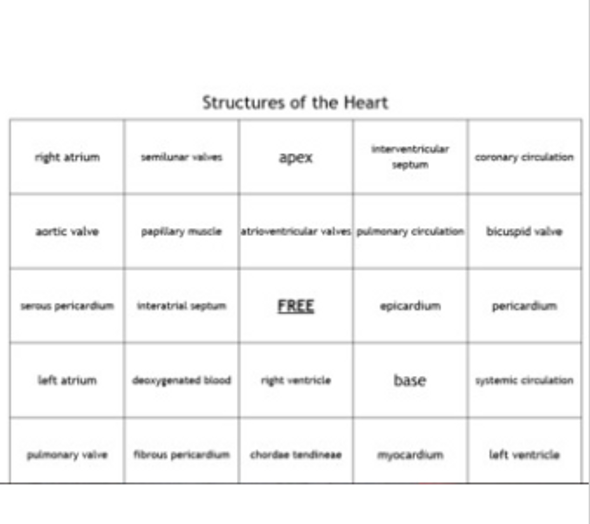"Structures of the Heart" Bingo set for an Anatomy of Physiology Course