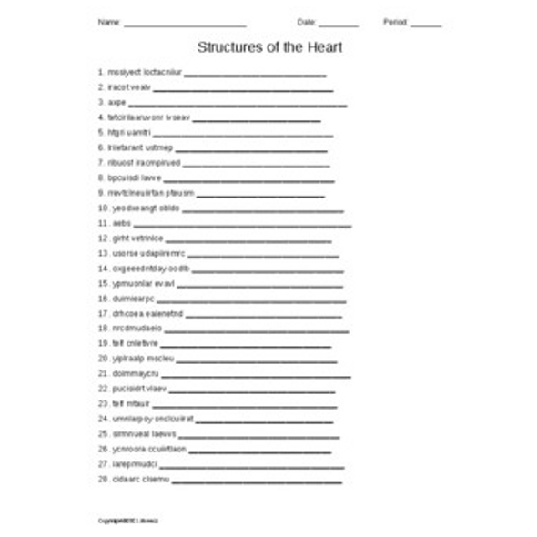 Structures of the Heart Vocabulary Word Scramble for Anatomy or Physiology