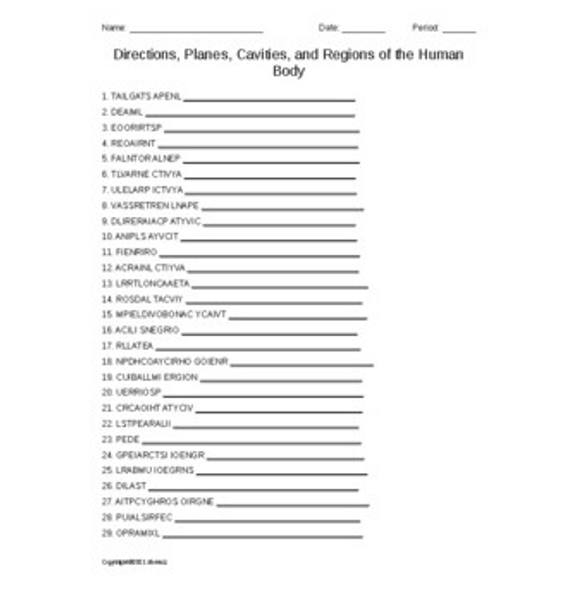 Body Directions, Planes, Cavities, and Regions Vocab. Word Scramble For Anatomy