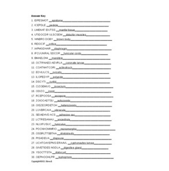 Phoronids, Brachiopods, and Bryozoans Word Scramble for Invertebrate Biology