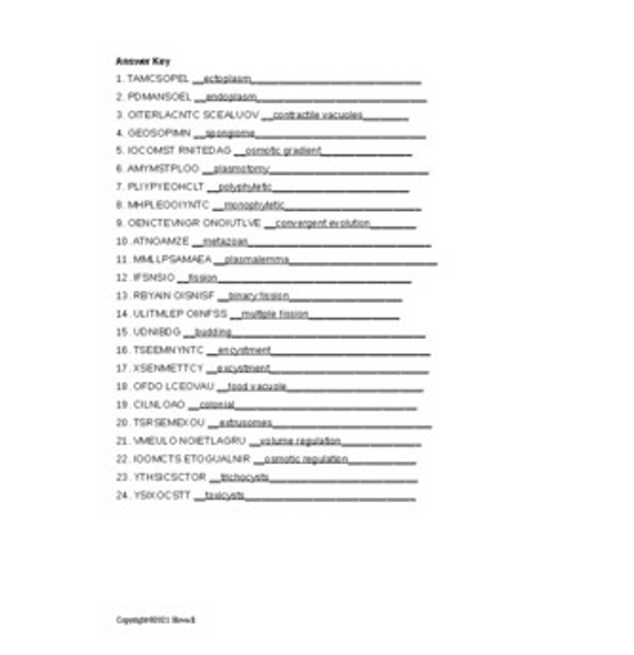 The Protozoans Word Scramble for Invertebrate Biology