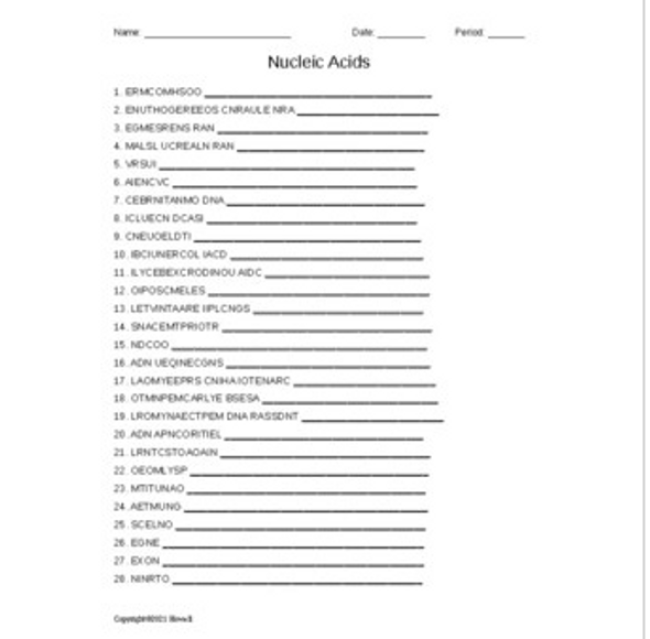 Nucleic Acids Word Scramble for Biological Chemistry