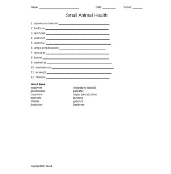 Small Animal Health Word Scramble