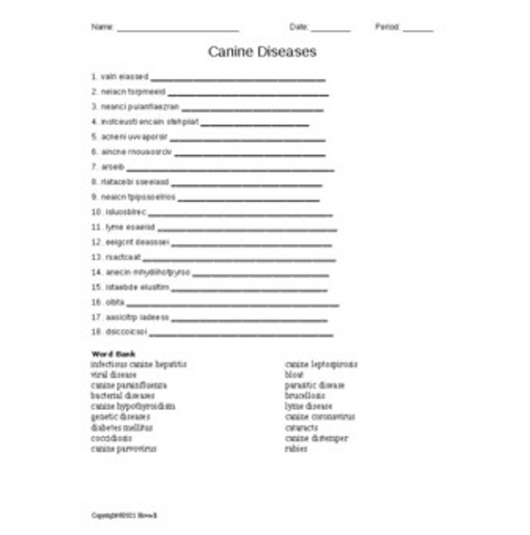 Canine Diseases Word Scramble