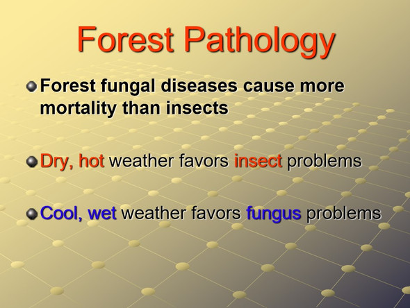 Forest Health Indicators PowerPoint