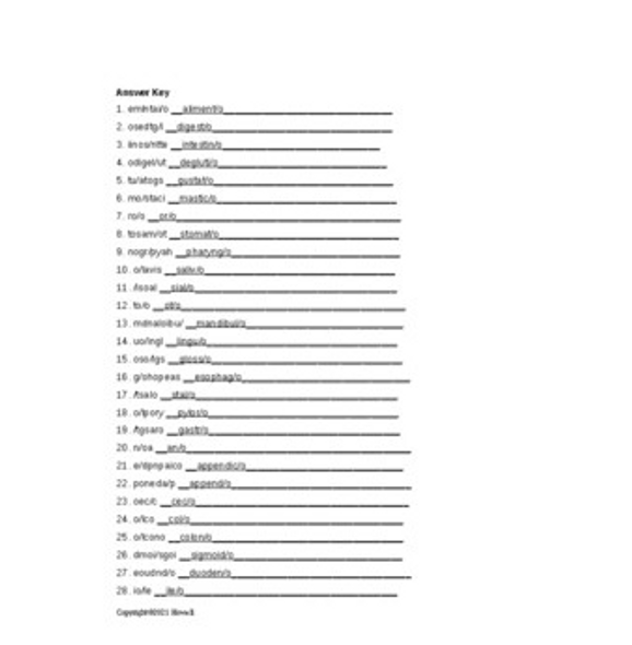 Gastrointestinal System Combining Forms Word Scramble