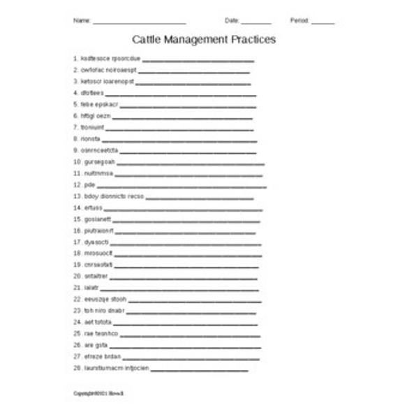 Cattle Management Practices Word Scramble for a Livestock Ag. Course