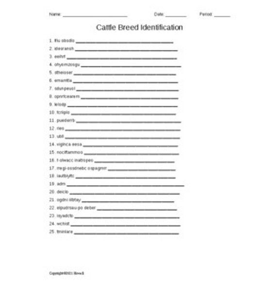 Cattle Breed Identification Word Scramble for a Livestock Ag. Course