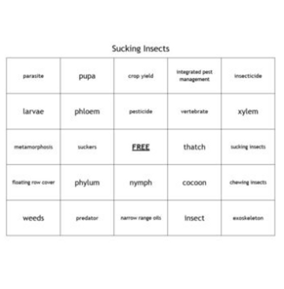 "Sucking Insects" Bingo set for a Plant Science Course