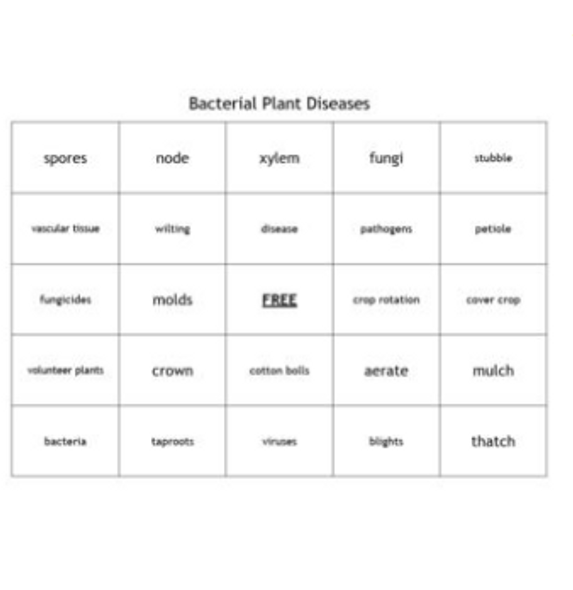 "Bacterial Plant Diseases" Bingo set for a Plant Science Course