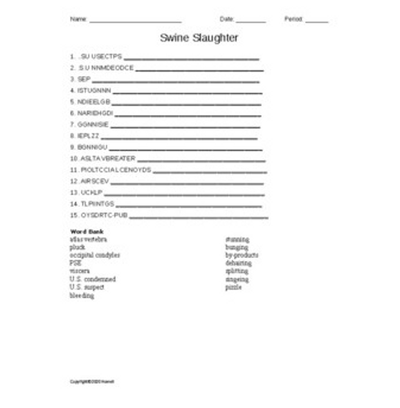 Swine Slaughter Word Scramble for Food Science