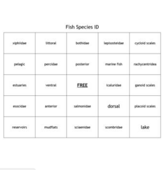 "Fish Species" Bingo set for a Natural Resources Course