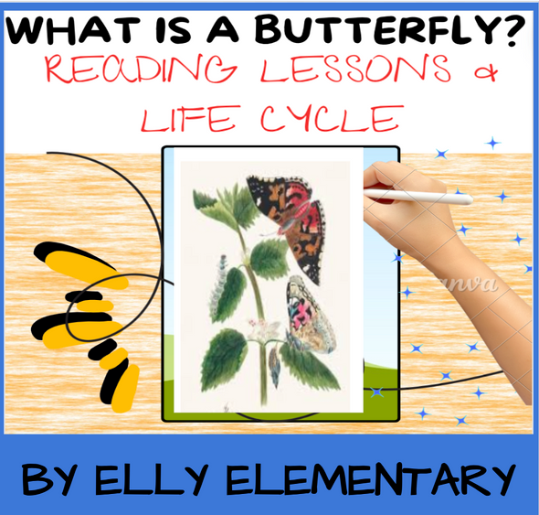 WHAT IS A BUTTERFLY? - READING LESSONS, RESEARCH & LIFE CYCLE ACTIVITIES