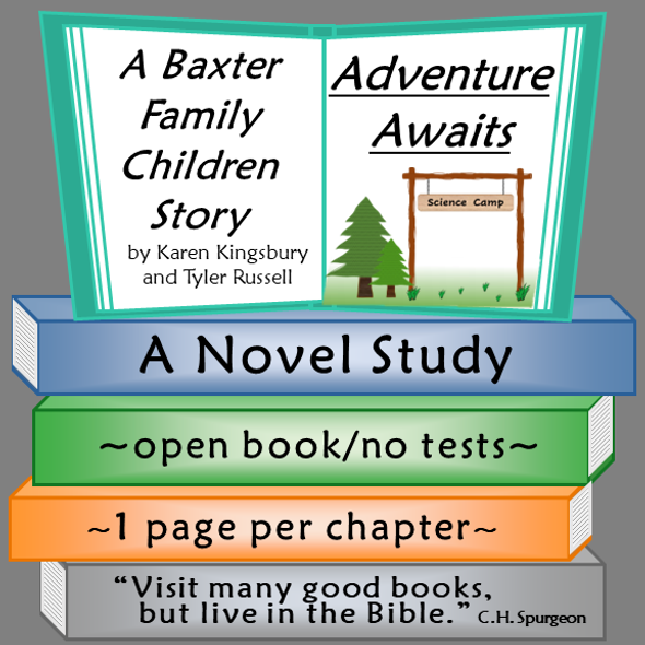 Adventure Awaits Novel Study