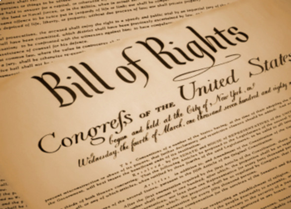 Lesson Bundle BILL OF RIGHTS